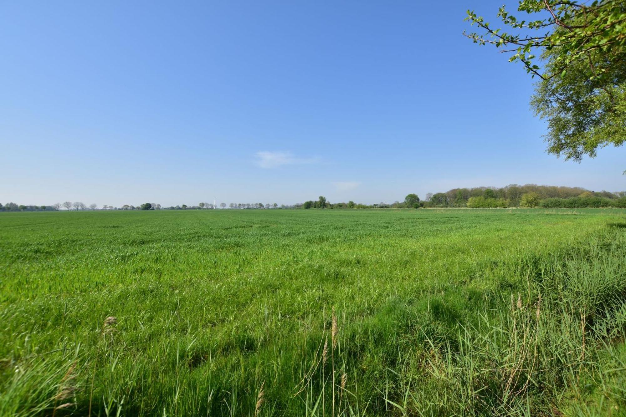 Haus Juist - Schillig Villa Buitenkant foto